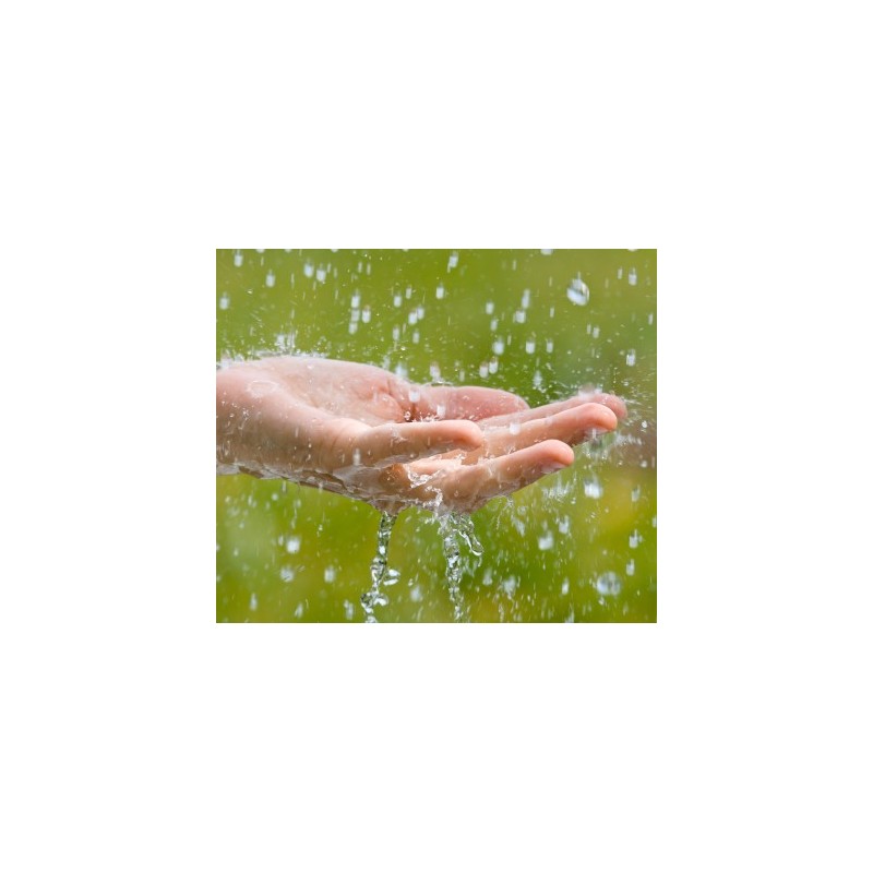Eau de pluie