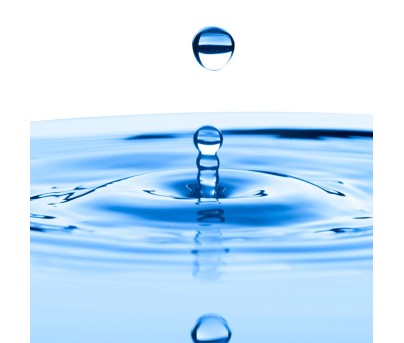 Recherche individuelle de métaux dans l'eau (montant de base puis 14€/métal)