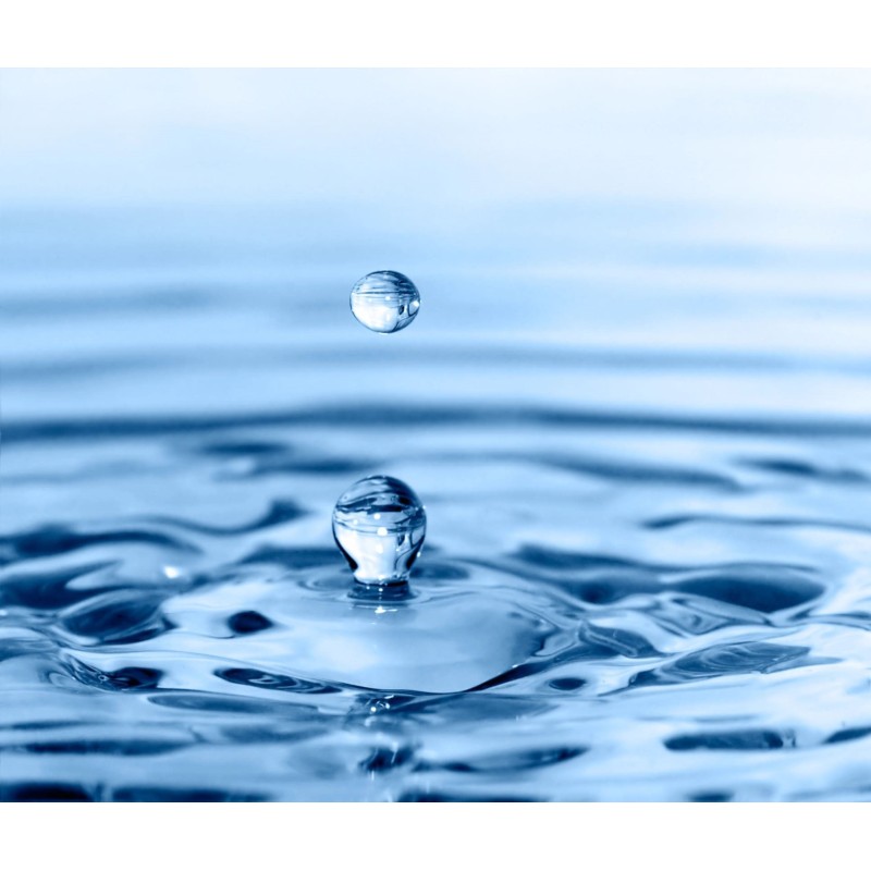 Recherche individuelle de métaux dans l'eau (montant de base puis 14€/métal)