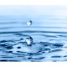 Recherche individuelle de métaux dans l'eau (montant de base puis 14€/métal)
