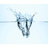 Recherche métaux dans l'eau - Pack complet
