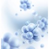 Recherche de contaminants dans l'eau douce (PFAS, pesticides, métaux)