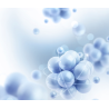 Recherche de contaminants dans l'eau douce (PFAS, pesticides, métaux)